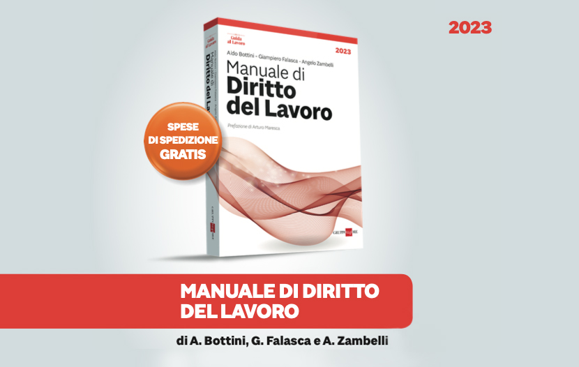 Manuale Di Diritto Del Lavoro 2023 Z P Manuale Di Diritto Del Lavoro 2023 Z P